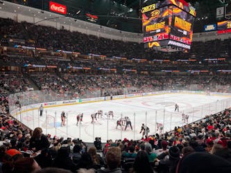 Biglietto per la partita di hockey su ghiaccio degli Anaheim Ducks all’Honda Center